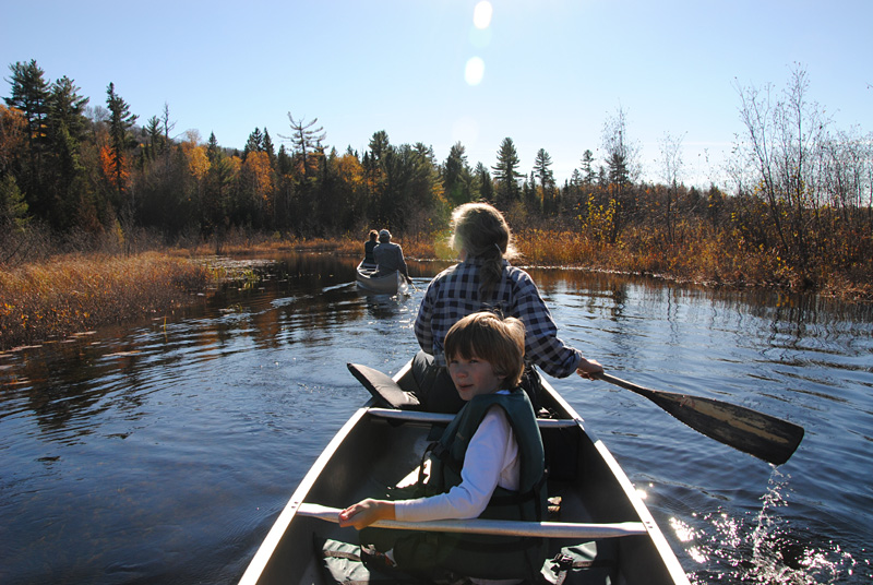 This is a photo of a young boy in a canoe as they are about to enter a march with tall grass
